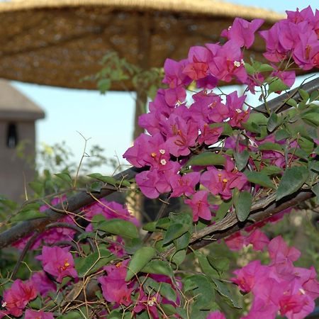 Riad Mehdia Marakéš Exteriér fotografie