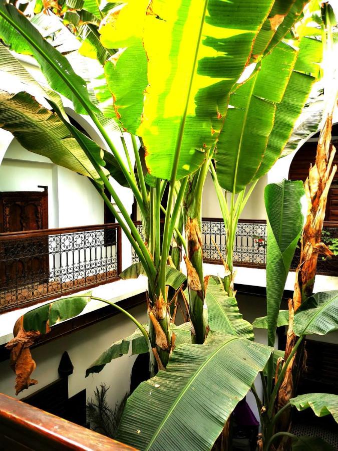 Riad Mehdia Marakéš Exteriér fotografie
