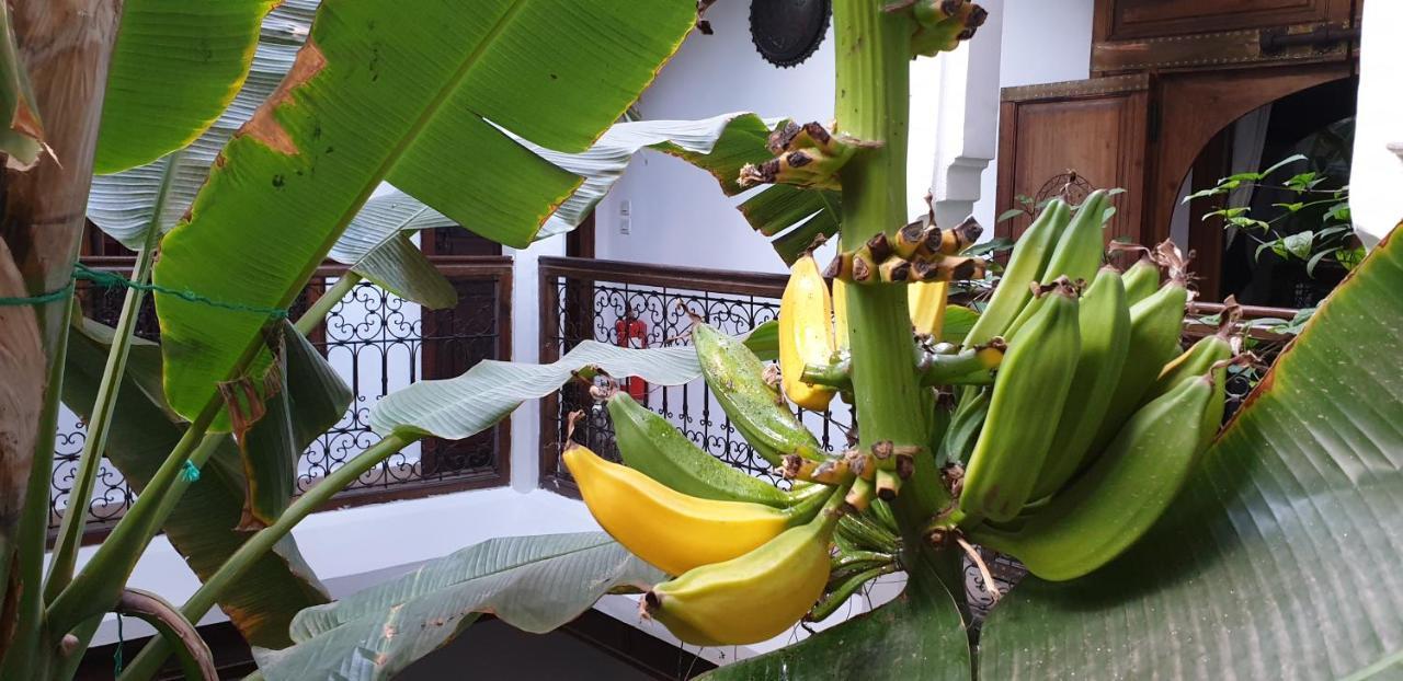 Riad Mehdia Marakéš Exteriér fotografie